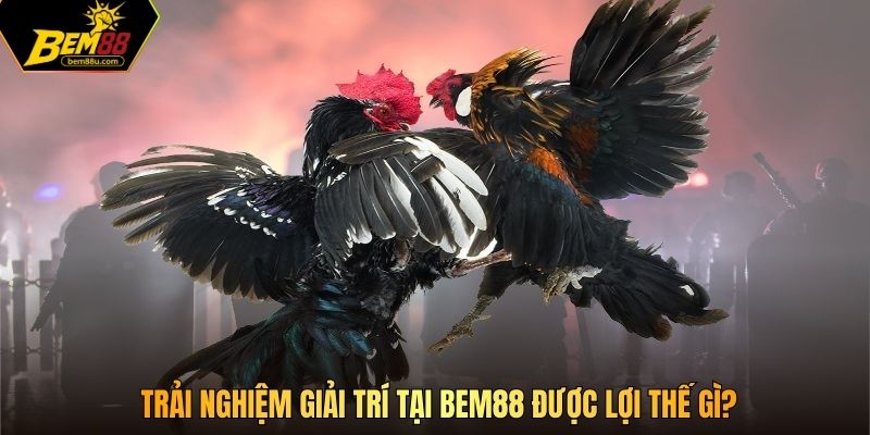 Trải nghiệm giải trí tại Bem88 được lợi thế gì?