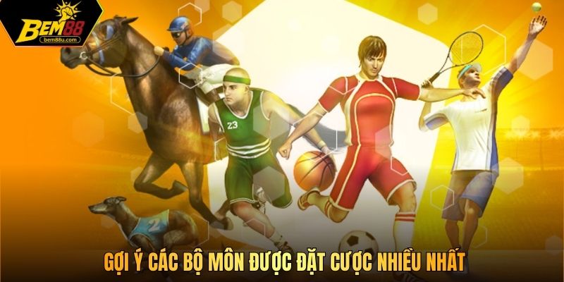 Gợi ý các bộ môn được đặt cược nhiều nhất