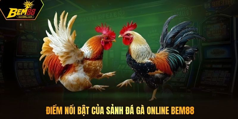 Điểm nổi bật của sảnh đá gà online Bem88