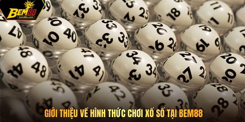 Giới thiệu về hình thức chơi xổ số tại Bem88